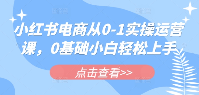 小红书电商从0-1实操运营课，0基础小白轻松上手 - 副业联盟-副业联盟