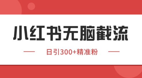 小红书截流同行客源，独家野路子获客玩法 日引200+暴力获客【揭秘】 - 副业联盟-副业联盟