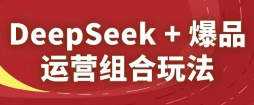 DeepSeek+爆品运营组合玩法，2025淘系精品课 - 副业联盟-副业联盟