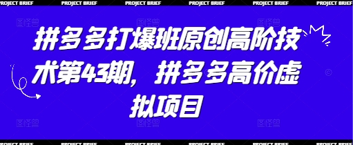 拼多多打爆班原创高阶技术第43期，拼多多高价虚拟项目 - 副业联盟-副业联盟