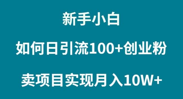 (9556期)新手小白如何通过卖项目实现月入10W+ - 副业联盟-副业联盟