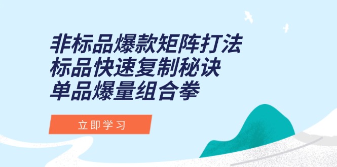 非标品爆款矩阵打法，标品快速复制秘诀，单品爆量组合拳 - 副业联盟-副业联盟