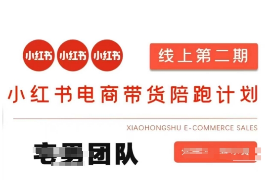 小红书电商带货课2期，月利润20个的小红书电商的有货源，无货源，虚拟产品，付费投流等整套玩法 - 副业联盟-副业联盟