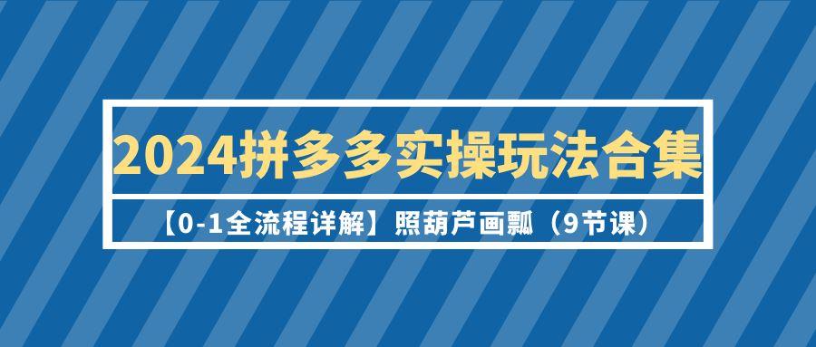 (9559期)2024拼多多实操玩法合集【0-1全流程详解】照葫芦画瓢(9节课) - 副业联盟-副业联盟