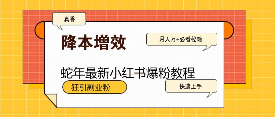 蛇年最新小红书爆粉教程，狂引副业粉，月入万+必看 - 副业联盟-副业联盟