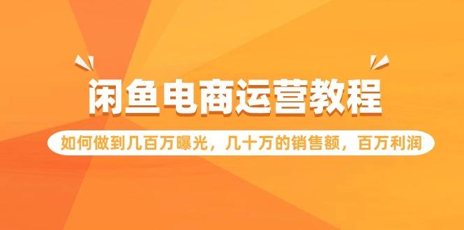 (9560期)闲鱼电商运营教程：如何做到几百万曝光，几十万的销售额，百万利润 - 副业联盟-副业联盟