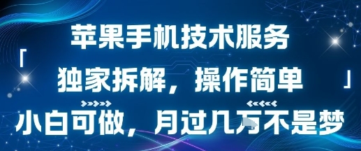 苹果手机技术服务，独家拆解，操作简单，小白可做，月过1W不是梦 - 副业联盟-副业联盟