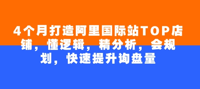 4个月打造阿里国际站TOP店铺，懂逻辑，精分析，会规划，快速提升询盘量 - 副业联盟-副业联盟