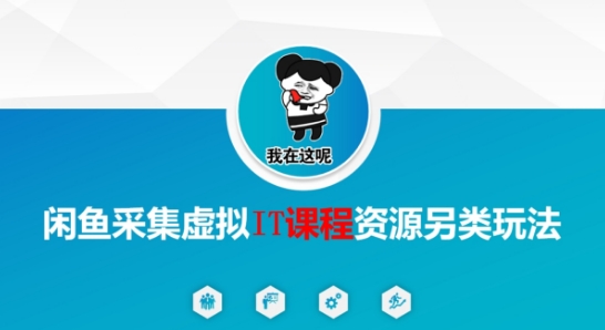 闲鱼采集虚拟IT课程资源另类玩法，干货满满 - 副业联盟-副业联盟
