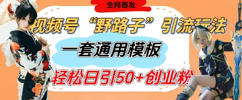 视频号“野路子”玩法，评论区疯狂截流，一套模板单日单号引流50+创业粉 - 副业联盟-副业联盟