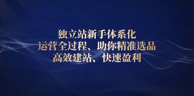 独立站新手体系化 运营全过程，助你精准选品、高效建站、快速盈利 - 副业联盟-副业联盟