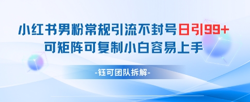 小红书男粉常规引流不封号日引99+变现简单 可矩阵可复制小白容易上手 - 副业联盟-副业联盟
