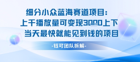小众蓝海赛道项目：当天变现1k+适合新手操作 +适合长期玩 - 副业联盟-副业联盟