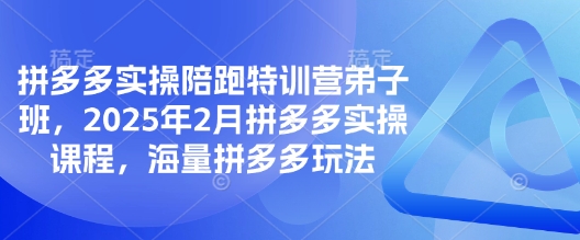 拼多多实操陪跑特训营弟子班，2025年2月拼多多实操课程，海量拼多多玩法 - 副业联盟-副业联盟
