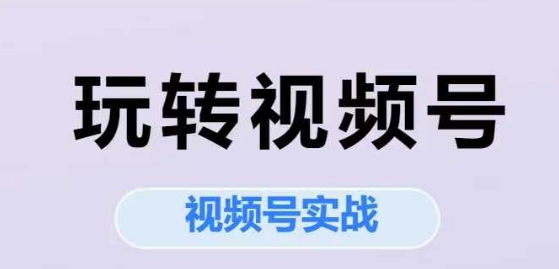 玩转视频号，视频号实战系列课 - 副业联盟-副业联盟