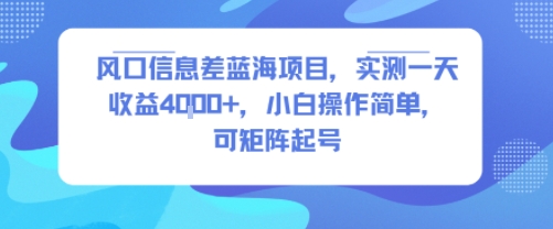 风口信息差蓝海项目，实测一天收益4k+，小白操作简单，可矩阵起号 - 副业联盟-副业联盟