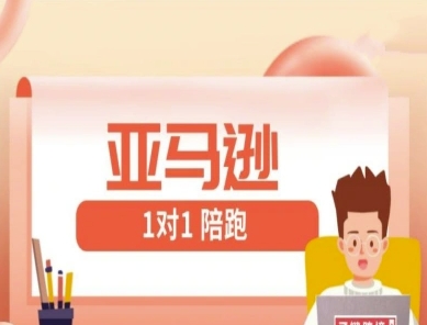 亚马逊1对1陪跑课(FBA/FBM精铺)跨境亚马逊教程 - 副业联盟-副业联盟