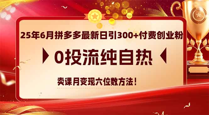 25年6月拼多多最新日引300+付费创业粉，0投流纯自热 卖课月变现六位数方法 - 副业联盟-副业联盟
