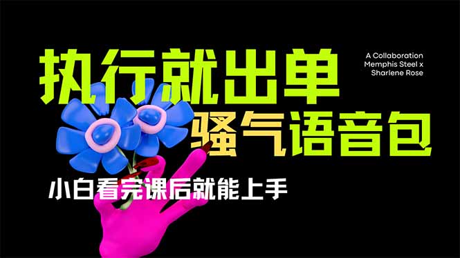 爆火全网的开车导航骚气语音包,只要执行就出单，小白看完课程就能实操... - 副业联盟-副业联盟