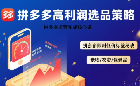 久号老师·拼多多选品暴利技术实战课 - 副业联盟-副业联盟