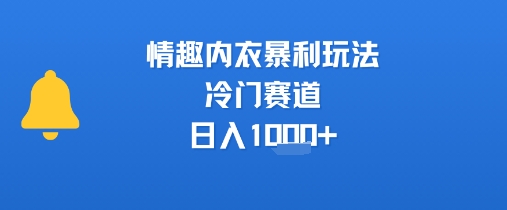 情趣内衣暴利玩法，冷门赛道，日入1k+ - 副业联盟-副业联盟