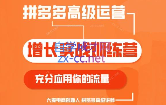 大麦老师·拼多多单品爆款打造课程(更新6月) - 副业联盟-副业联盟