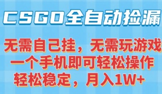 CSGO自动捡漏项目，最新独家玩法，一个手机可操作，新手小白轻松月入1W+，操作简单易上手【揭秘】 - 副业联盟-副业联盟