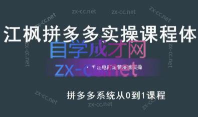 江枫老师·拼多多实操课程 - 副业联盟-副业联盟