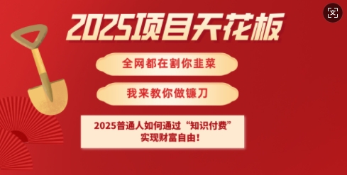 2025项目天花板普通人如何通过知识付费，实现财F自由【揭秘】 - 副业联盟-副业联盟